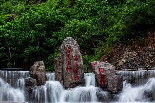 探秘高以翔录制节目中晕倒心肺复苏未醒而去世,他因何被称为最有绅士感演员?,解锁天涯问答新乐趣